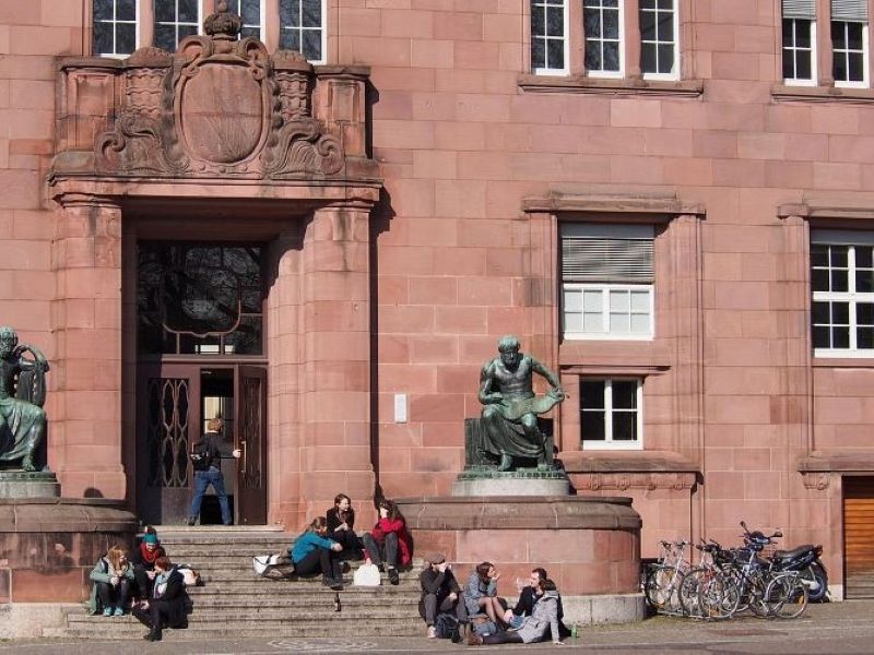 Das Bild zum Artikel