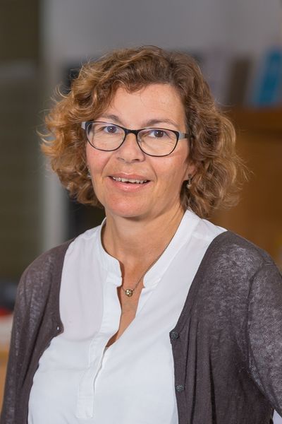 Das Bild zum Artikel